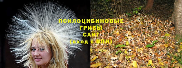 мяу мяу мука Верхний Тагил
