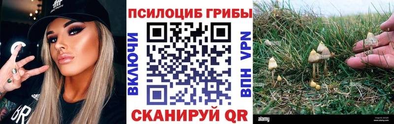 ОМГ ОМГ ссылки  Ворсма  Галлюциногенные грибы мицелий  цена  