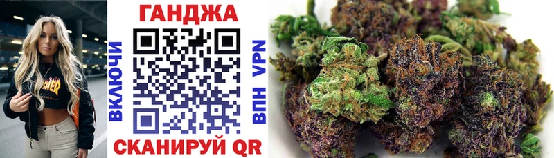 Конопля гибрид  Ворсма 